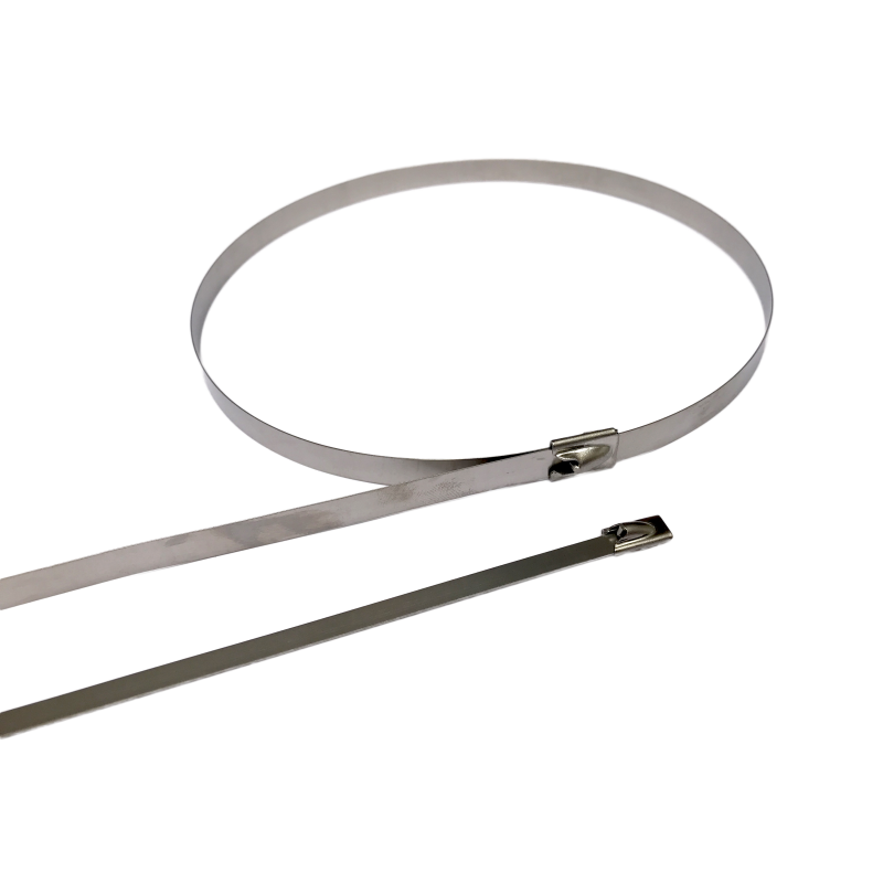 Stainless steel zip ties