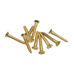 Vis à bois à tête fraisée laiton No.10x38mm pour descentes de conducteurs selon BS EN 62561